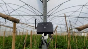 农业物联网的基础与核心 网络工程的视角