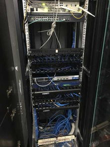 专业计算机技术，承接各类网络工程项目